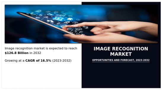 映像辨识市场-IMG1