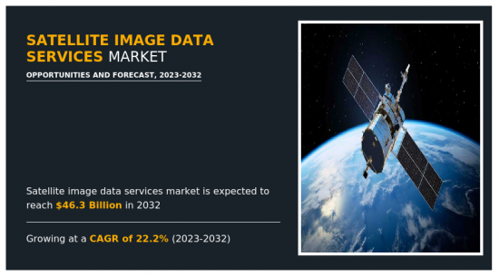 卫星影像资料服务市场-IMG1