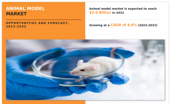 动物模型市场-IMG1