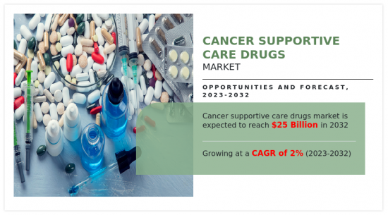 癌症支持治疗药物市场-IMG1