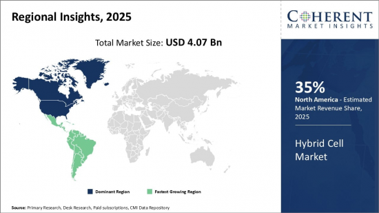 Hybrid Cell Market - IMG1