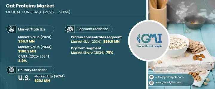 燕麦蛋白市场 - IMG1