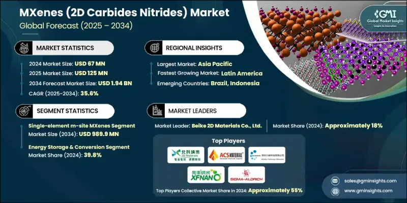 MXene(二维碳化物氮化物)市场 - IMG1