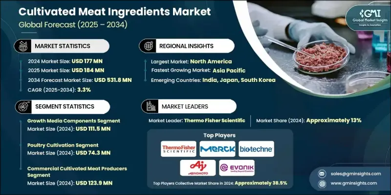 人造肉配料市场 - IMG1