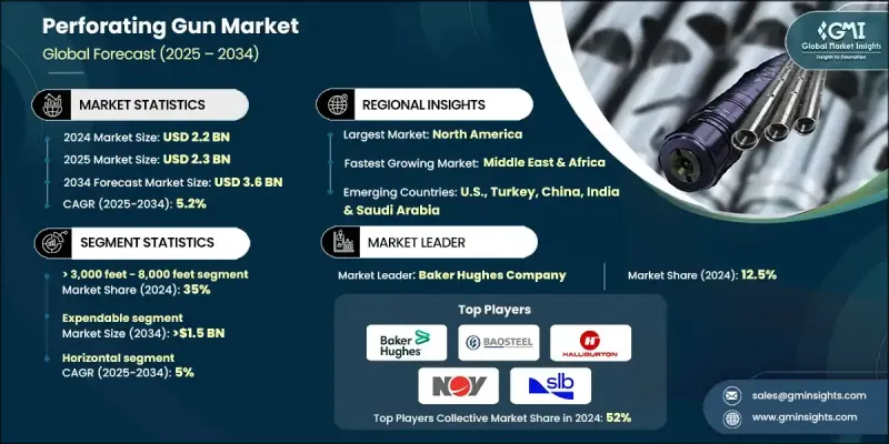 穿孔枪市场 - IMG1