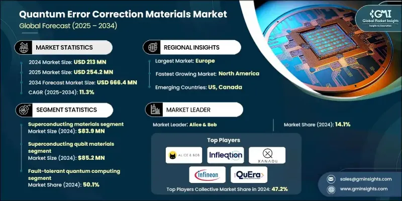 量子纠错材料市场 - IMG1