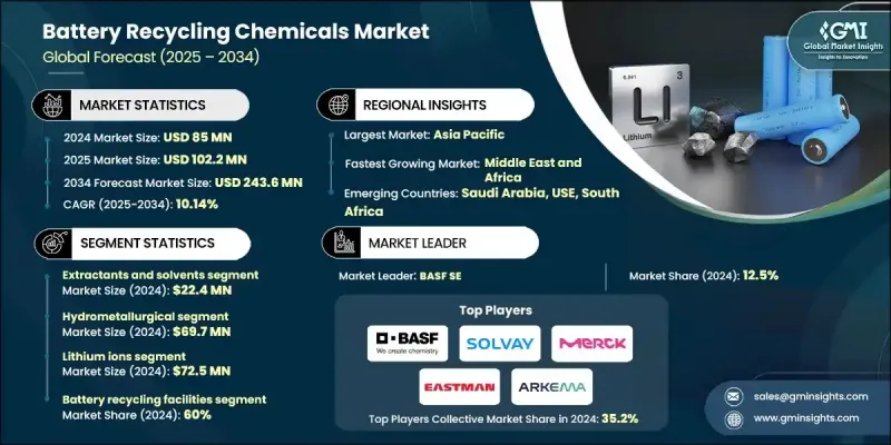 电池回收化学品市场 - IMG1
