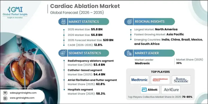 心臟消融市场 - IMG1