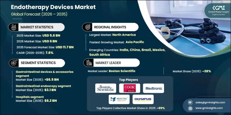 内视镜治疗器材市场-IMG1