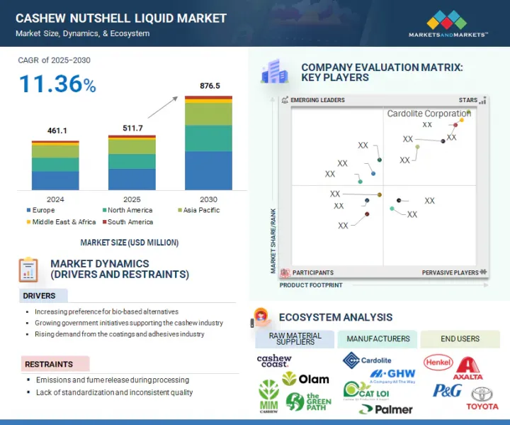 Cashew Nutshell Liquid Market - IMG1