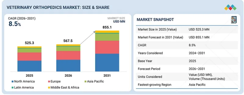 兽医骨科市场-IMG1