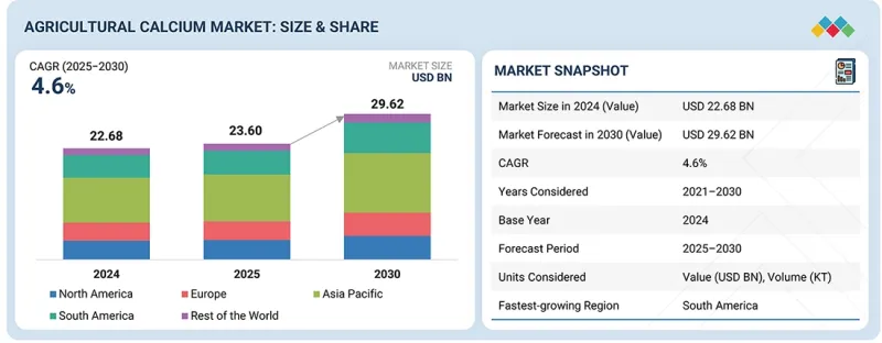 农业钙市场-IMG1