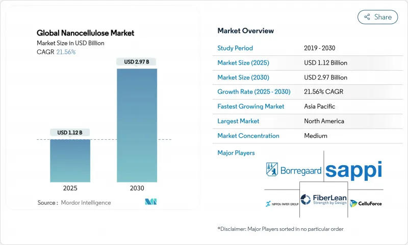 全球奈米纤维素市场-IMG1