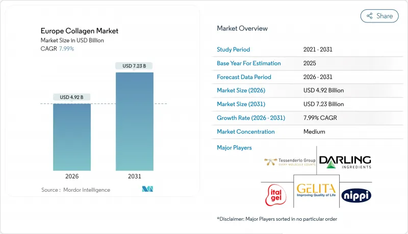 欧洲胶原蛋白市场-IMG1
