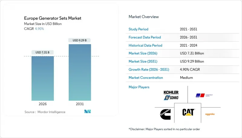 欧洲发电机组市场-IMG1