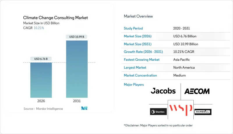 气候变迁咨询市场-IMG1