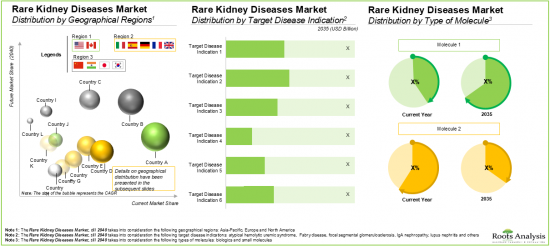 Rare Kidney Diseases Market-IMG4