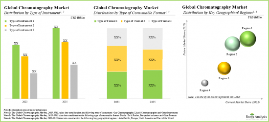 Chromatography Consumables and Chromatography Instrumentation Market - IMG3