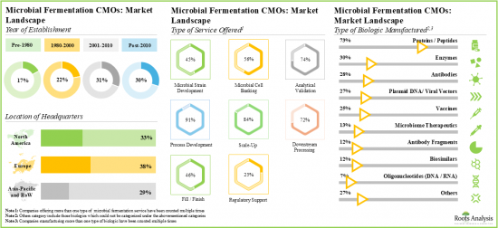 Microbial Fermentation CMO Market - IMG1