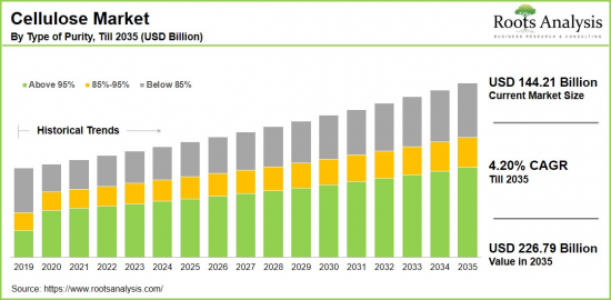 Cellulose Market-IMG1