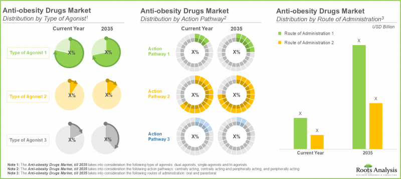 Anti-Obesity Drugs Market-IMG3