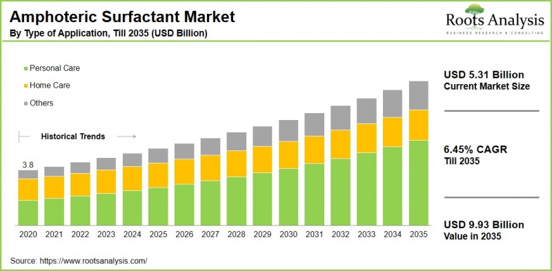 Amphoteric Surfactants Market-IMG1