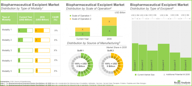 Biopharmaceutical Excipients Market - IMG3