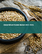 小麦蛋白质的全球市场 2022-2026