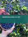 蓝莓的全球市场 2023-2027