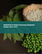 豌豆蛋白质加工设备的全球市场 2023-2027年