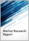Cloud AI Global Market Report 2023
