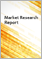 Automated Machine Learning (AutoML) Global Market Report 2023
