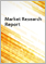 2024 年模组化地板材料全球市场报告