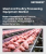 肉类和家禽加工设备市场规模、份额和成长分析（按类型、肉类类型、产品类型和地区）- 产业预测 2025-2032