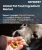 Pet Food Ingredient Market Size, Share, and Growth Analysis, By Pets Type (Dogs, Cats), By Source (Animal-based, Plant Derivatives), By Ingredient, By Form, By Region - Industry Forecast 2025-2032