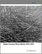 Global Concrete Fibers Market 2025-2029