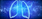 KOL Insight - Chronic Obstructive Pulmonary Disease
