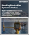 Floating Production Systems Market Size, Share, and Growth Analysis, By Type (FPSO, Tension Leg Platforms ), By Application, By Water Depth, By Capacity, By Function, By Region, And Segment Forecast, 2025-2032