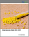 Global Xanthates Market 2025-2029
