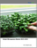 Global Microgreens Market 2025-2029