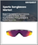 Sports Sunglasses Market Size, Share, and Growth Analysis, By Type (Polarized, Non-polarized), By Application (Outdoor sporting and traveling, Water sports), By End User, By Distribution Channel, By Region - Industry Forecast 2025-2032