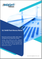 SLC NAND Flash Memory Market Size and Forecast 2021 - 2031, Global and Regional Share, Trend, and Growth Opportunity Analysis Report Coverage: By Type, Application, Density, and Geography