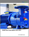 Global Gear Pump Market 2025-2029