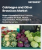 Cabbages and Other Brassicas Market Size, Share, and Growth Analysis, By Type, By Application, By Region, And Segment Forecast, 2025-2032