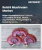 Reishi Mushroom Market Size, Share, and Growth Analysis, By Nature (Organic, Conventional), By Form (Liquid, Powder), By Application, By Region - Industry Forecast 2025-2032
