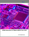 Global Automotive AI Chipset Market 2025-2029