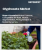 Glyphosate Market Size, Share, and Growth Analysis, By End User (Agriculture, Non-Agriculture), By Application (Post Emergent, Pre-Emergent), By Formulation, By Distribution Channel, By Crop Type, By Region - Industry Forecast 2025-2032