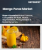 Mango Puree Market Size, Share, and Growth Analysis, By Type, By Nature, By Application, By Function, By Distribution Channel, By Region - Industry Forecast 2025-2032