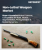 Non-Lethal Weapon Market Size, Share, and Growth Analysis, By Type (Ammunition, Explosives), By End User Industry (Law Enforcement, Military), By Technology, By Region - Industry Forecast 2025-2032