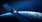 卫星製造·发射服务:趋势与预测(2024年～2034年)